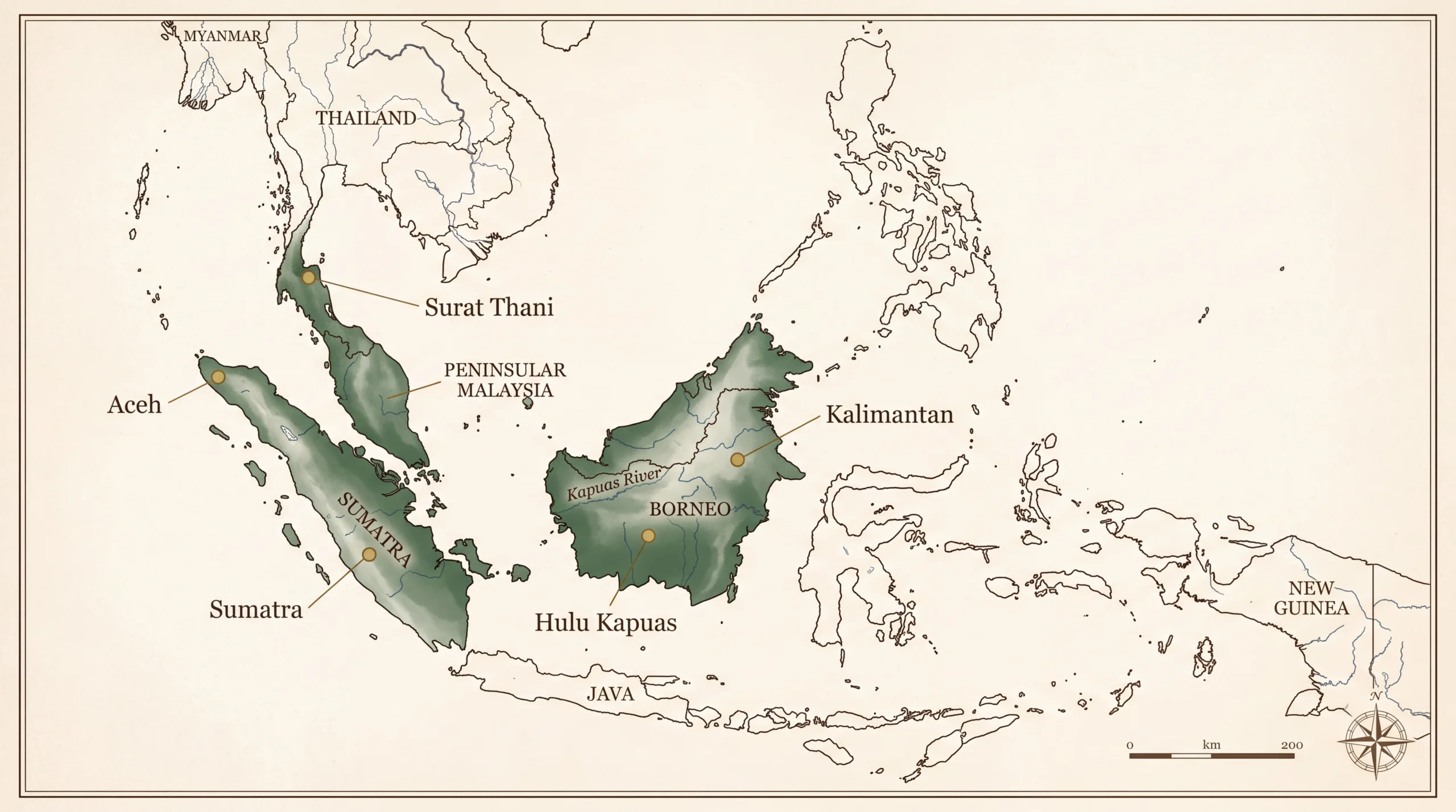 Map of Southeast Asia marking kratom growing regions: Surat Thani in southern Thailand, Peninsular Malaysia, Aceh and Sumatra, and Kalimantan and Hulu Kapuas on Borneo along the Kapuas River
